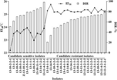 Key infection stages defending heat stress in high-temperature-resistant Blumeria graminis f. sp. tritici isolates